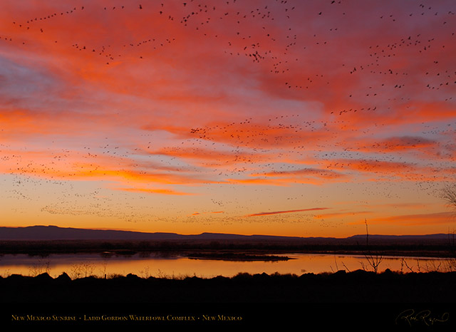 New_Mexico_Sunrise_X6762