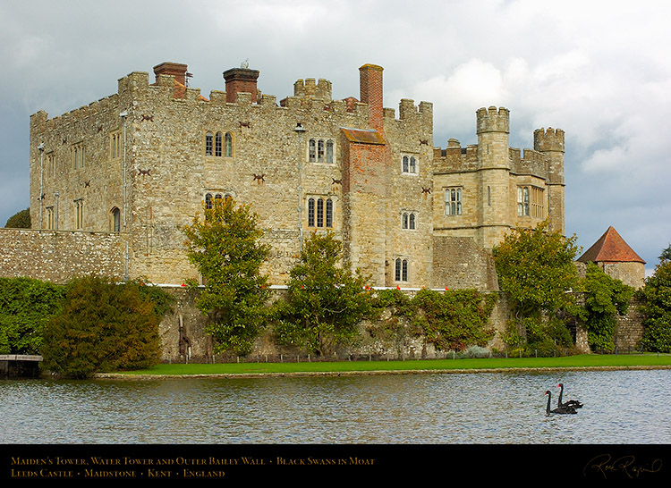 BlackSwans_LeedsCastle_MaidensTower_1661