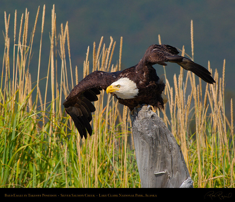 BaldEagle_Takeoff_Position_X3897M