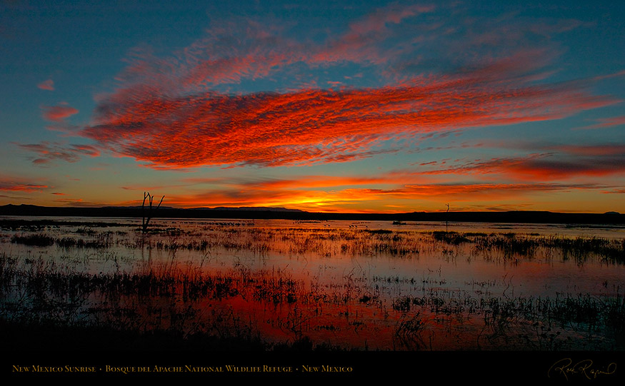 Bosque_delApache_Sunrise_4498_16x9