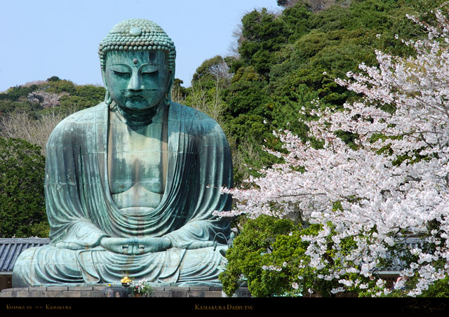 KamakuraDaibutsu_0864