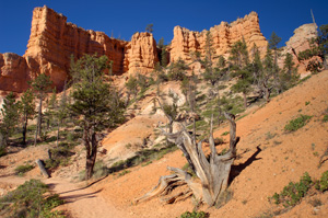 BryceCyn_QueensTrail_X1812XLsigned