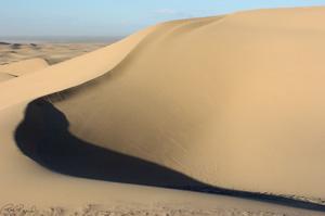 MojaveDune_1304LGsigned