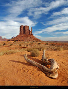 MonumentValley_LeftMitten_X9984XLsigned