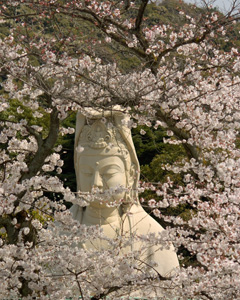 RyozenKannon_9602LGsigned