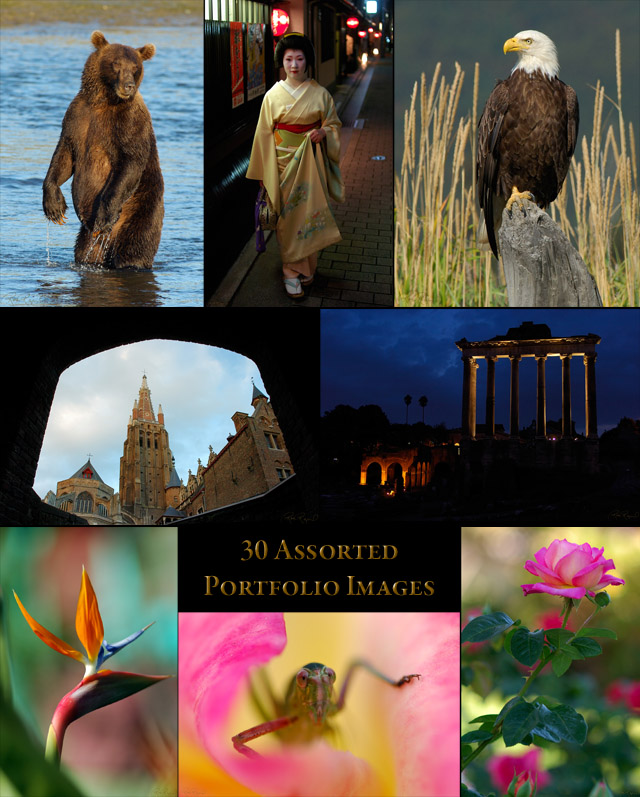 30_Portfolio