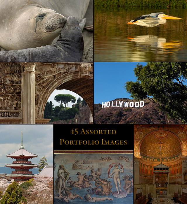 45_Portfolio