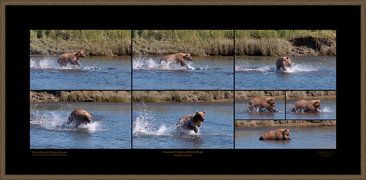 GrizzlyFishing_XXL