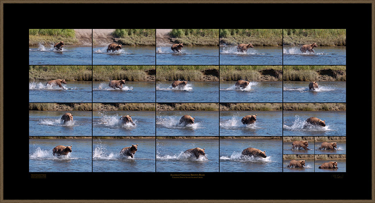 GrizzlyFishing_XXXL