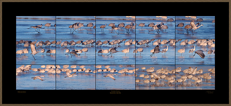 Leaving_the_Ice_XXXL