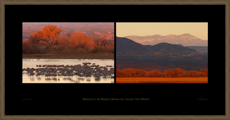 Morning_inThe_Bosque_s