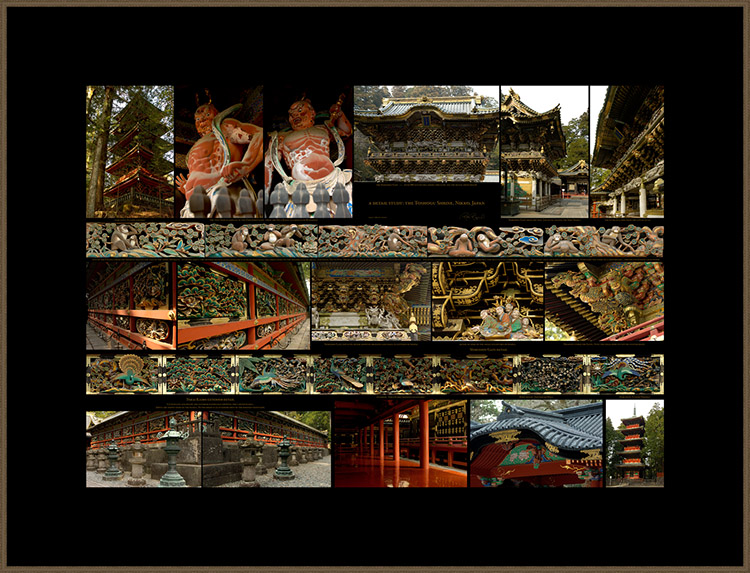 Nikko_Detail_Study