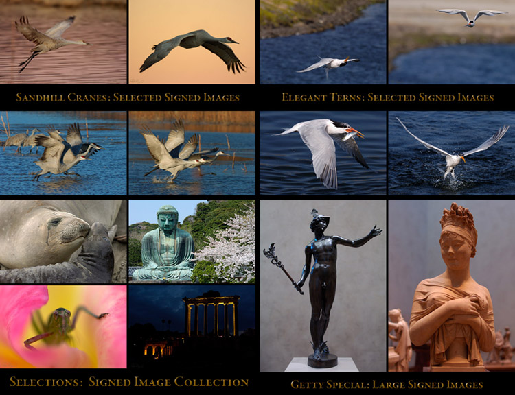 Signed_Image_Portfolios