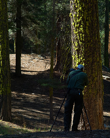 Ron_ShootingDeer_Yosemite_X0624s